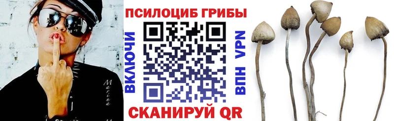 Галлюциногенные грибы GOLDEN TEACHER  Купить закладки  Богучар 